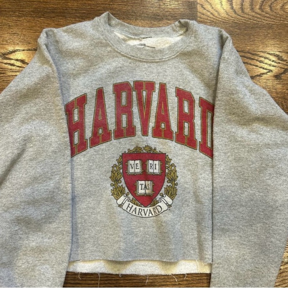 Harvard Size Small Cropped Distressed Gray Long Sleeve Sweatshirt EUC